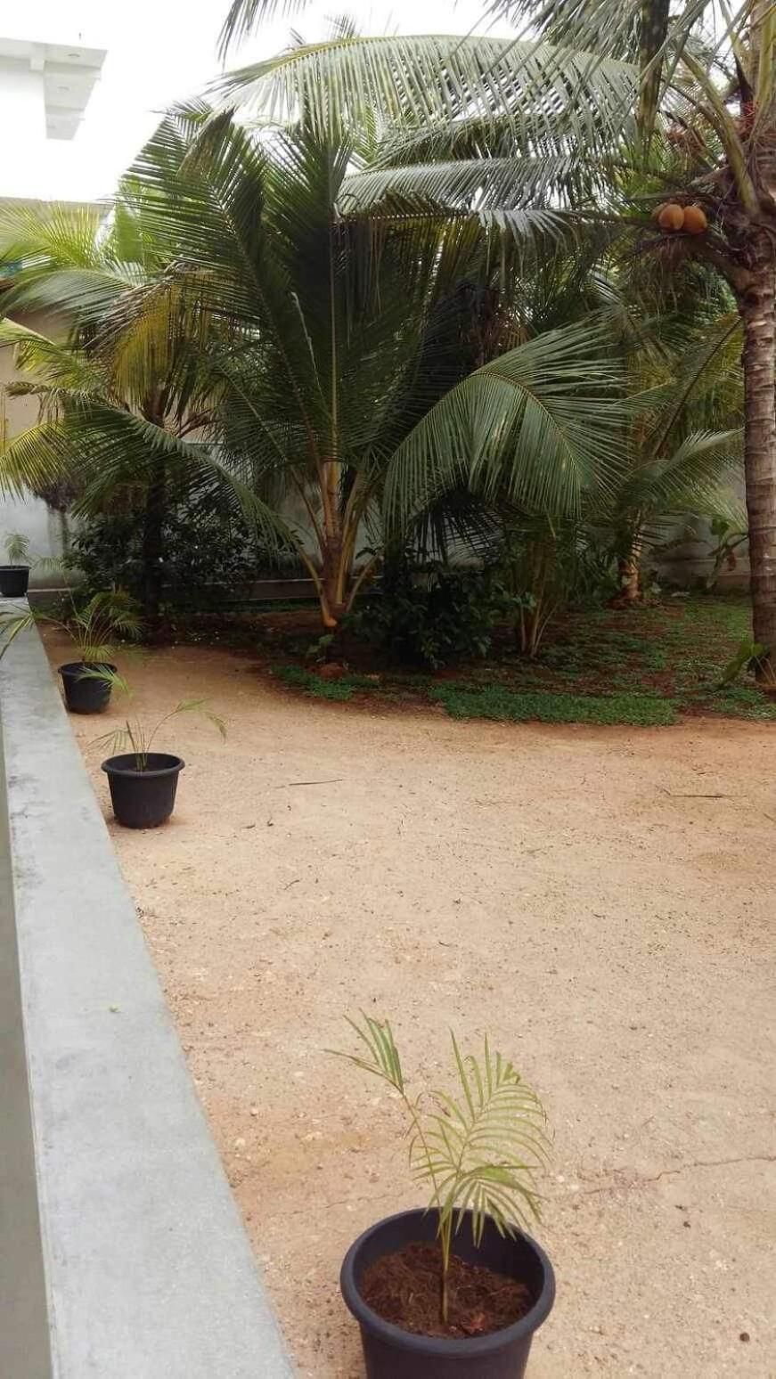 New Ocean Breeze Madiha Hotel Matara Exterior foto