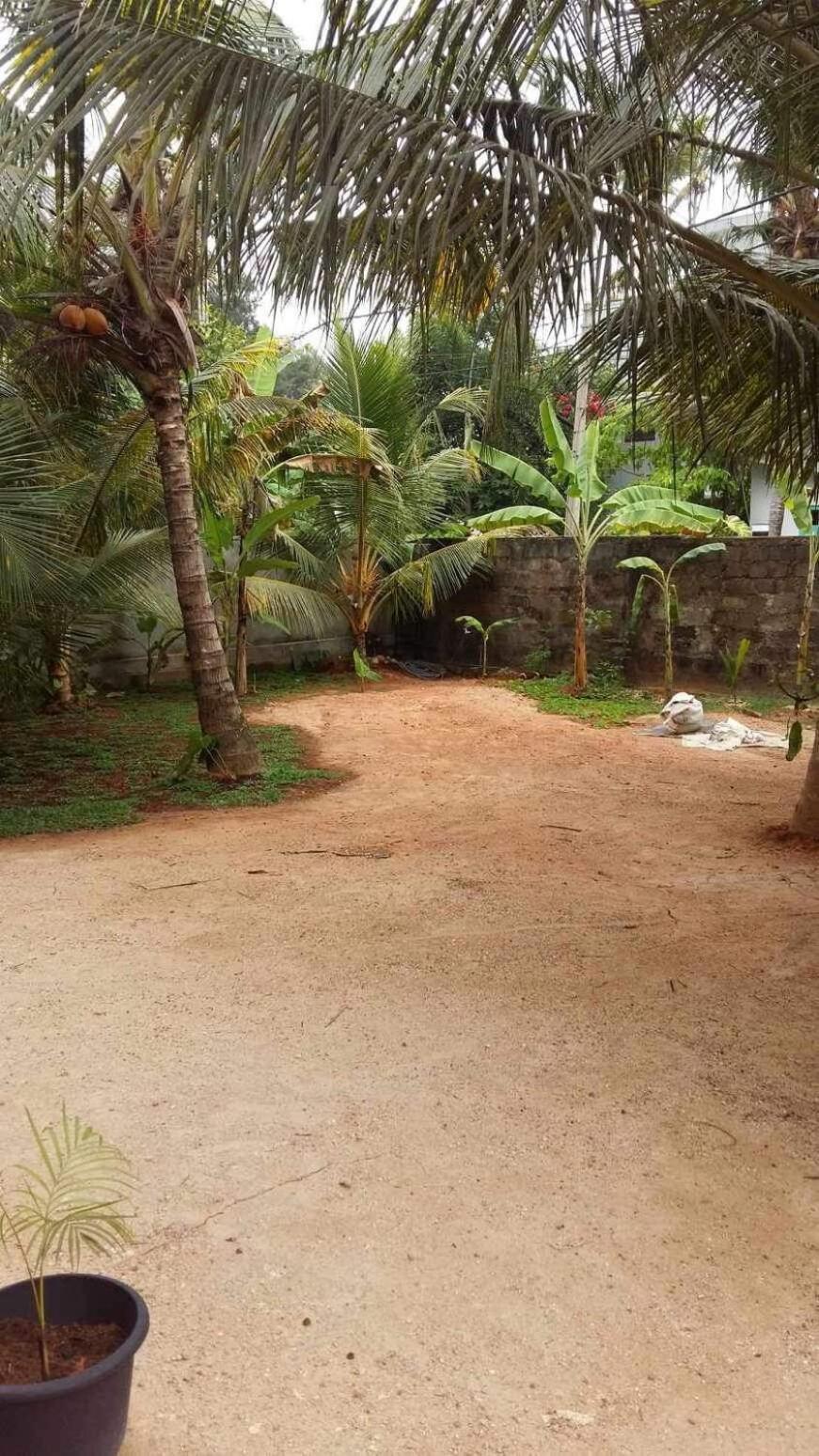 New Ocean Breeze Madiha Hotel Matara Exterior foto