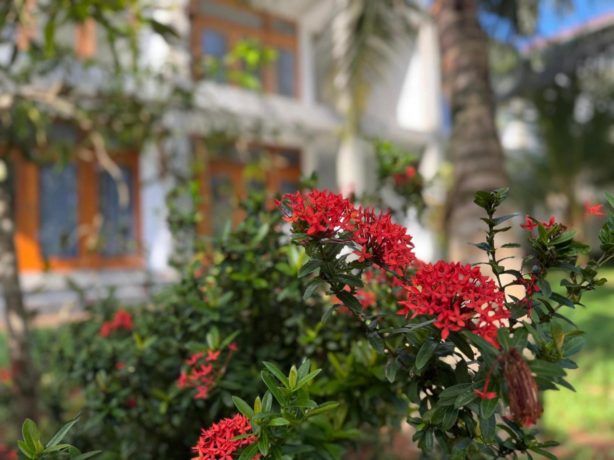 New Ocean Breeze Madiha Hotel Matara Exterior foto
